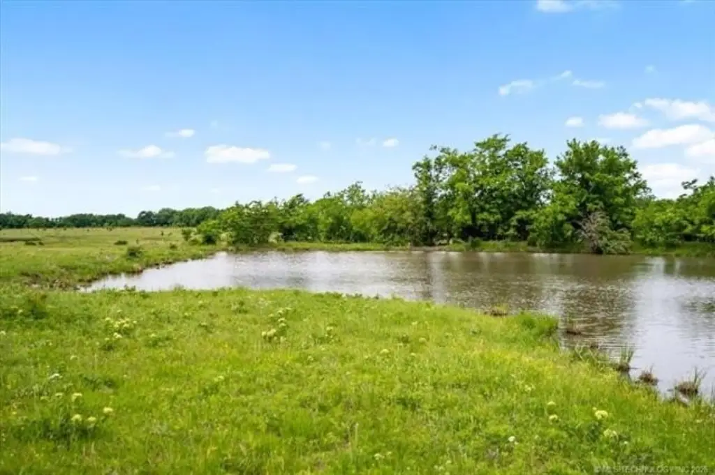 Picture 41