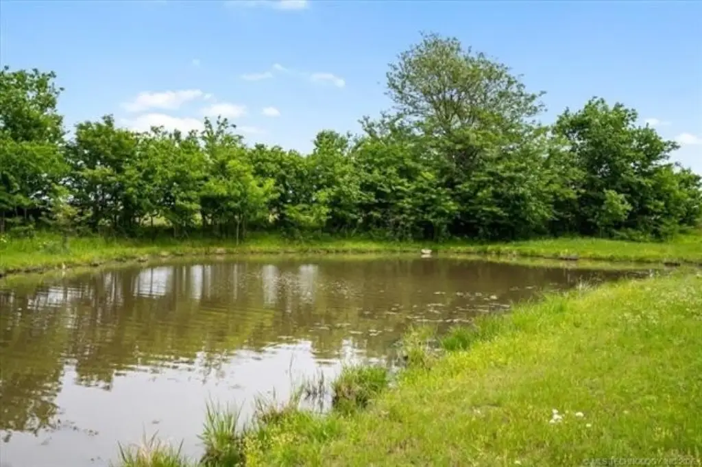 Picture 42