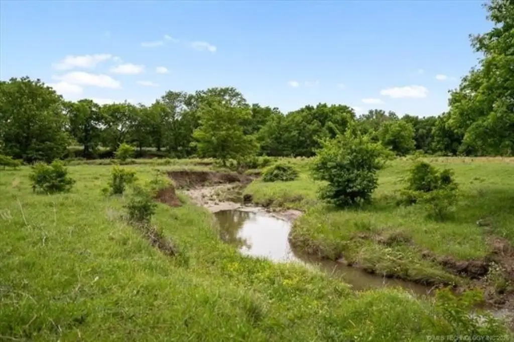 Picture 13
