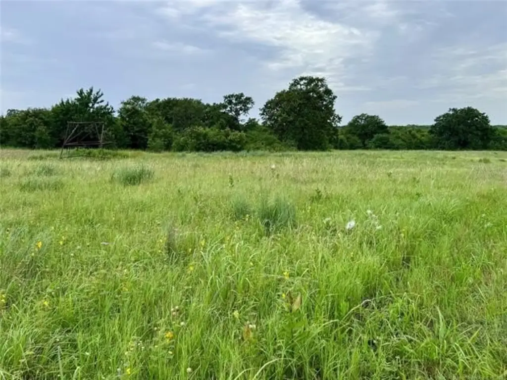 Picture 23