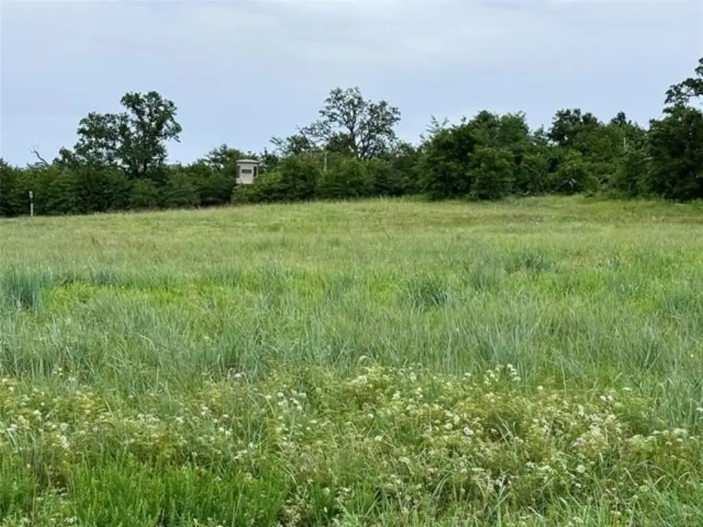 Picture 34