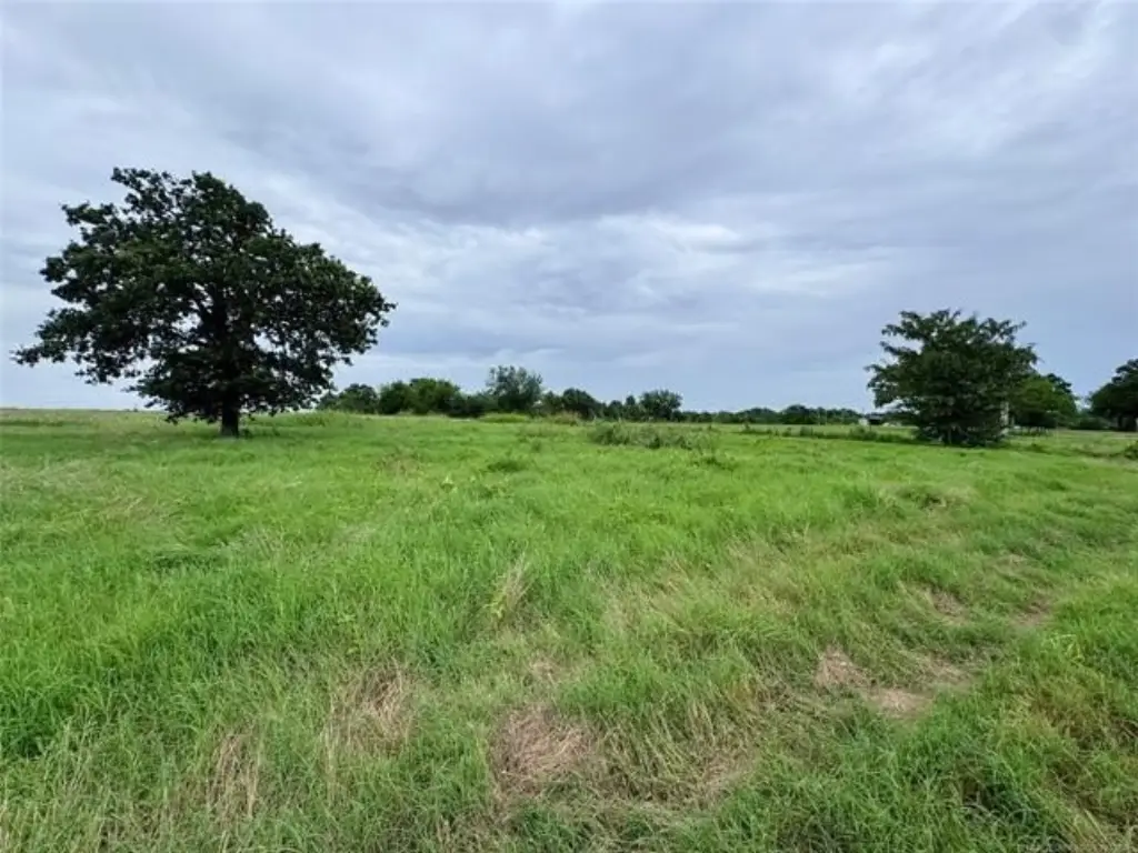 Picture 13