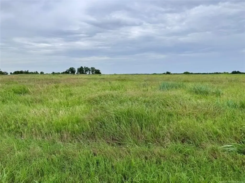 Picture 20