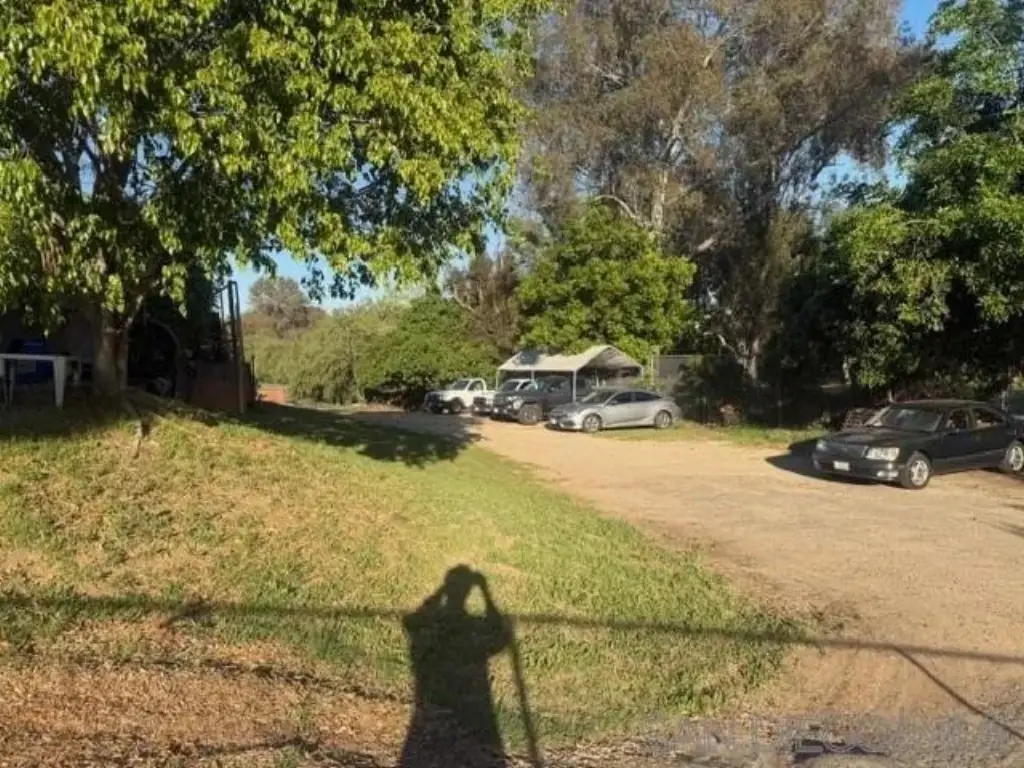 Picture 8