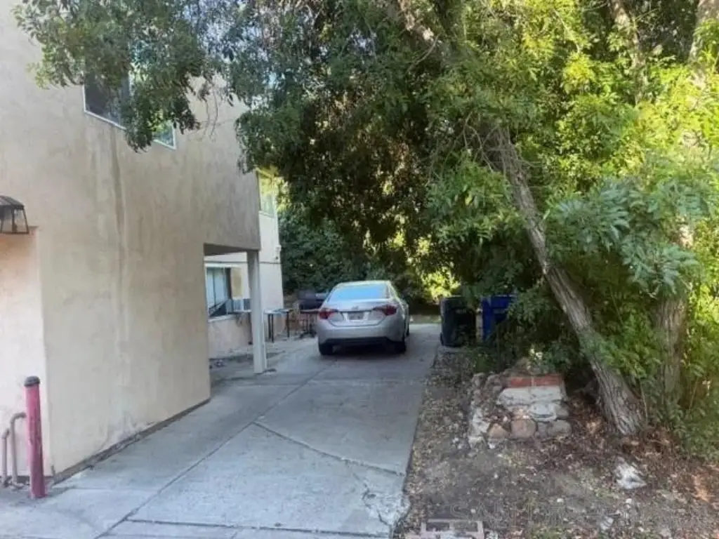 Picture 6