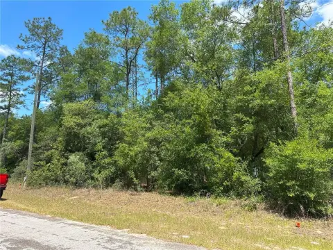Land in Citrus Springs, FL