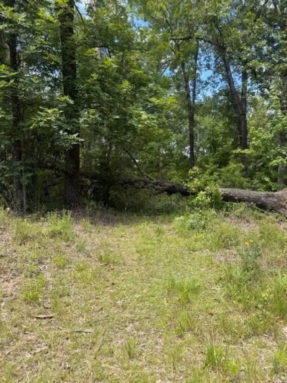 Picture 10