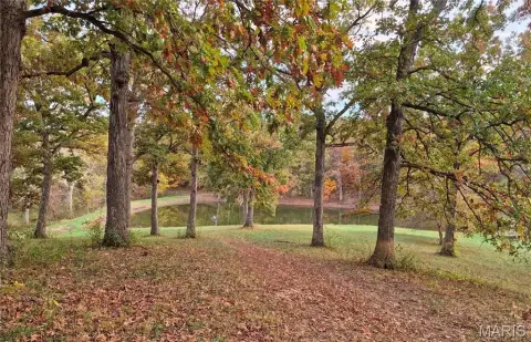 Scenic Land Ready to Build