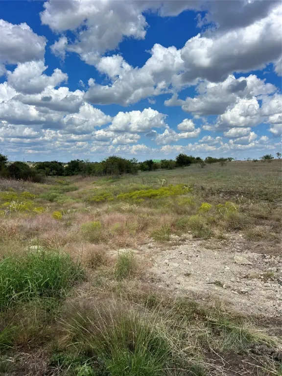 Picture 21
