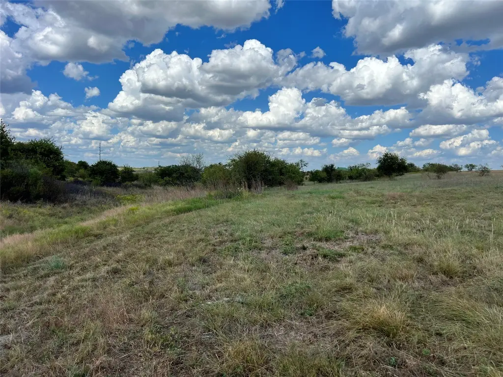 Picture 20