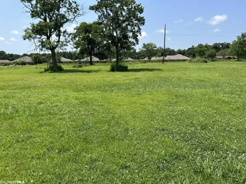 Cleared Land Ready for Development