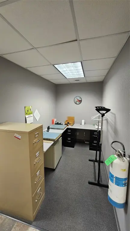 Picture 10