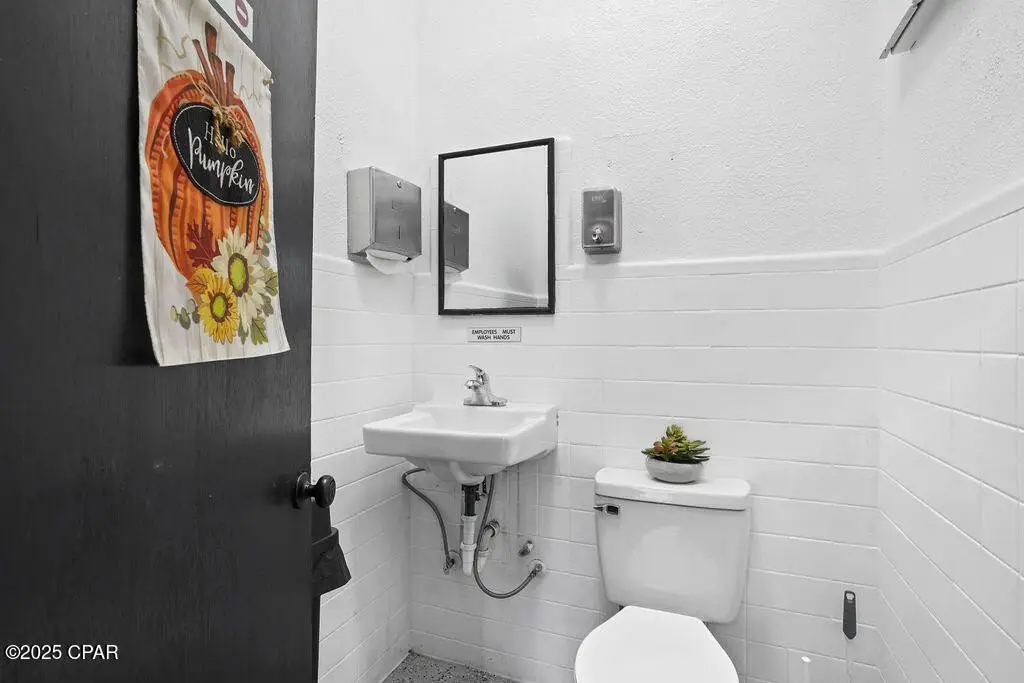 Picture 17