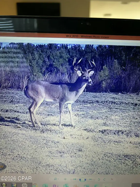 Picture 13