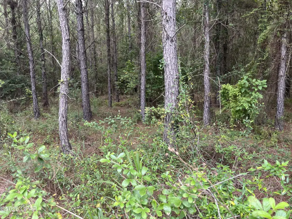 Picture 19