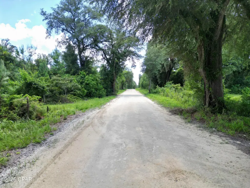 Picture 8