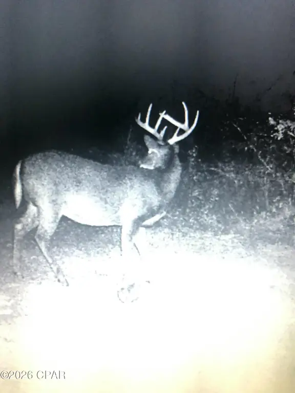 Picture 7