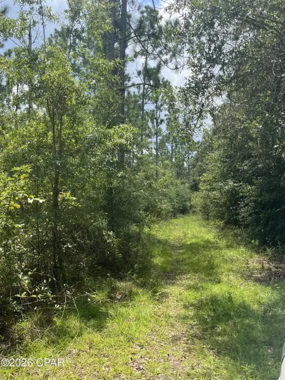 Picture 16