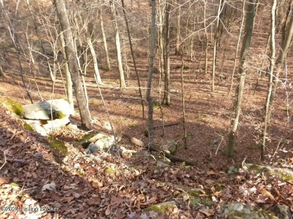 Picture 25