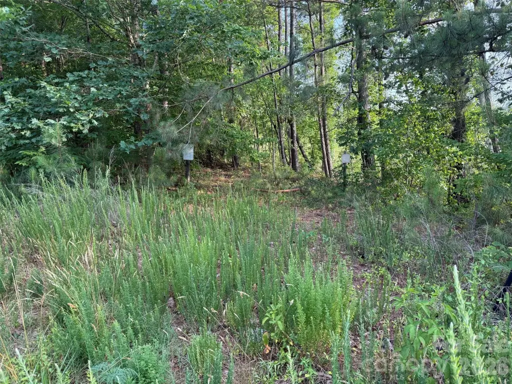 Picture 3