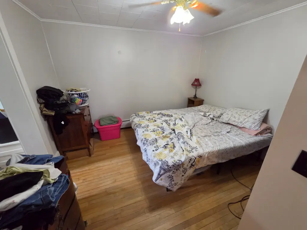 Picture 20