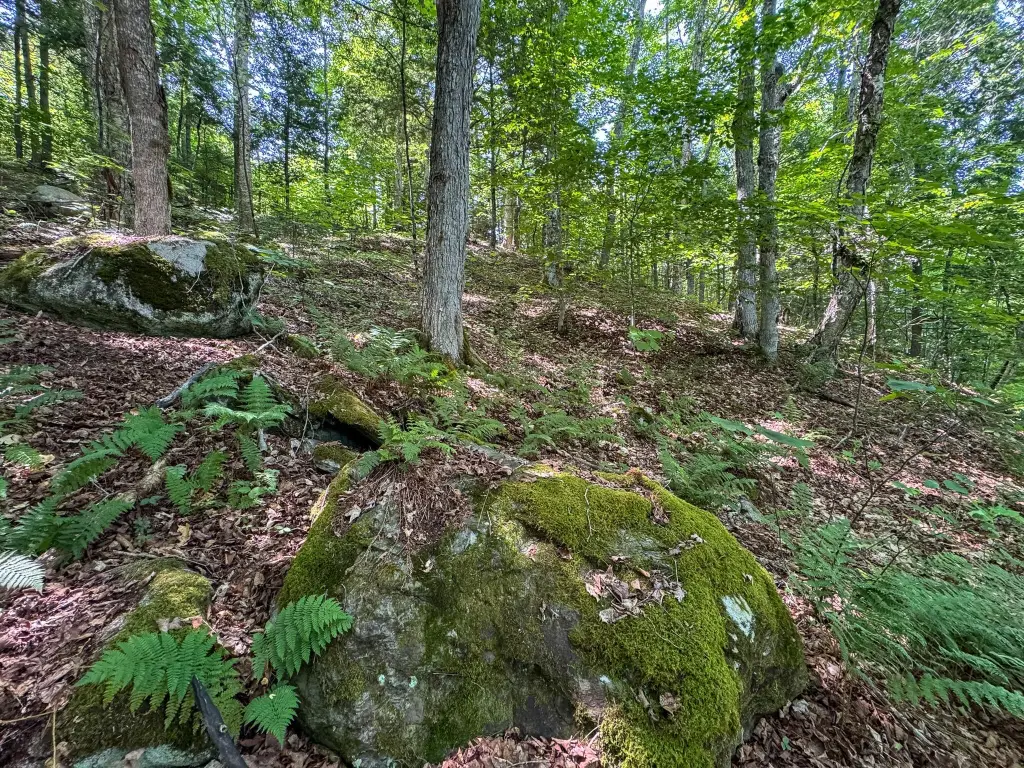 Picture 25