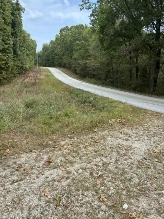Picture 4