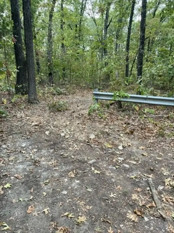 Picture 6
