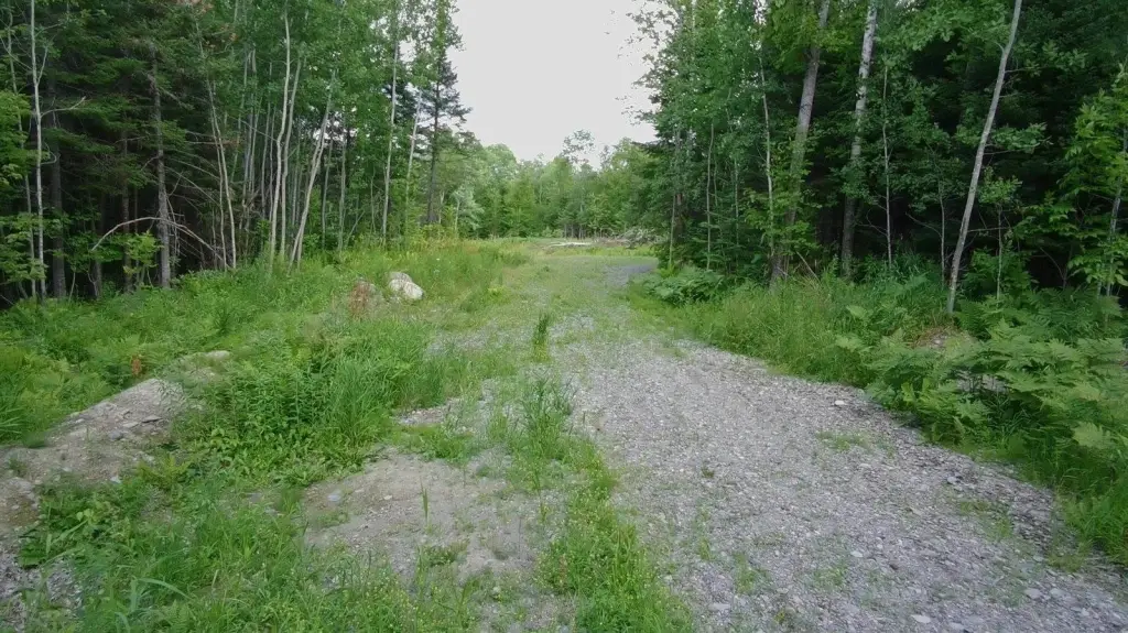 Picture 5