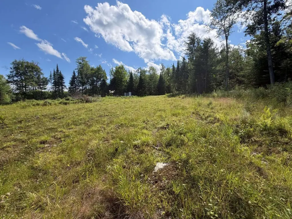 Picture 19
