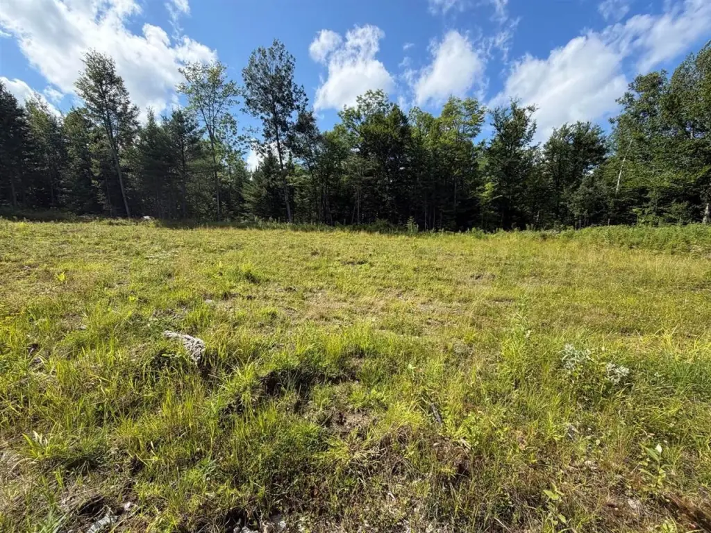 Picture 23