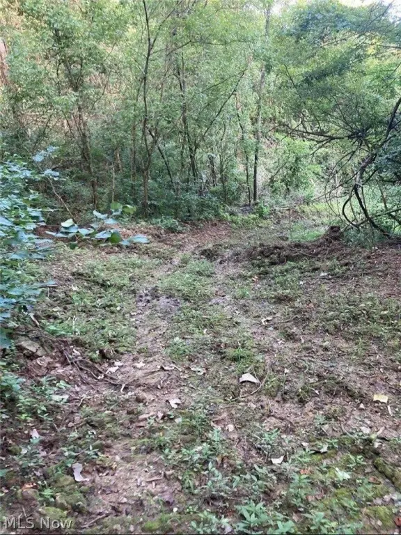 Picture 17