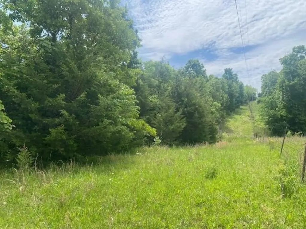 Picture 7