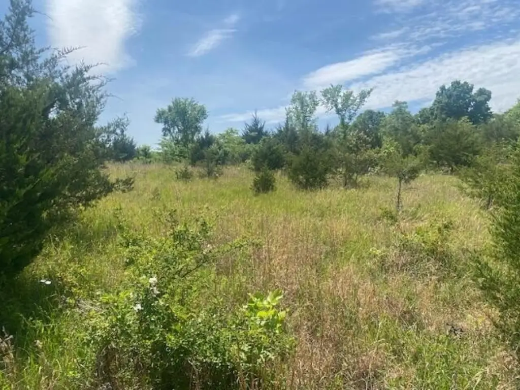 Picture 6