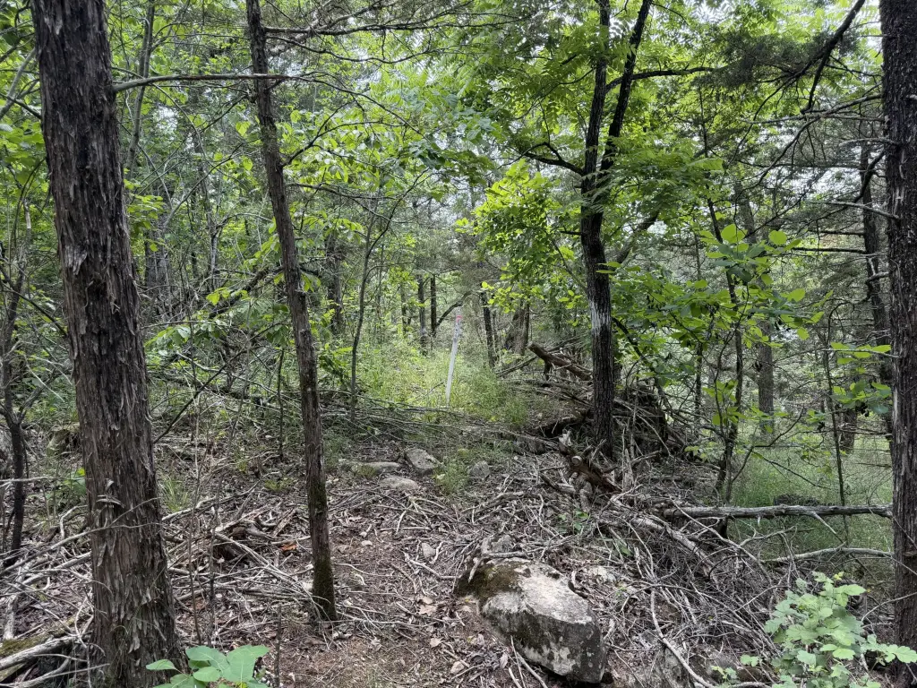 Picture 2