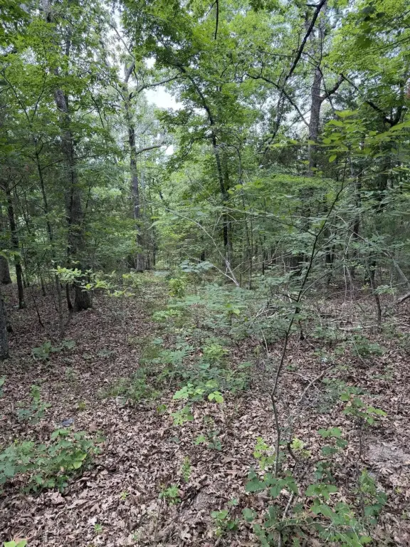 Picture 19