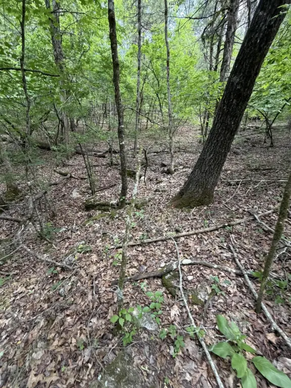 Picture 16