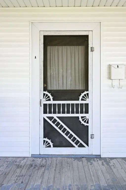 Picture 5