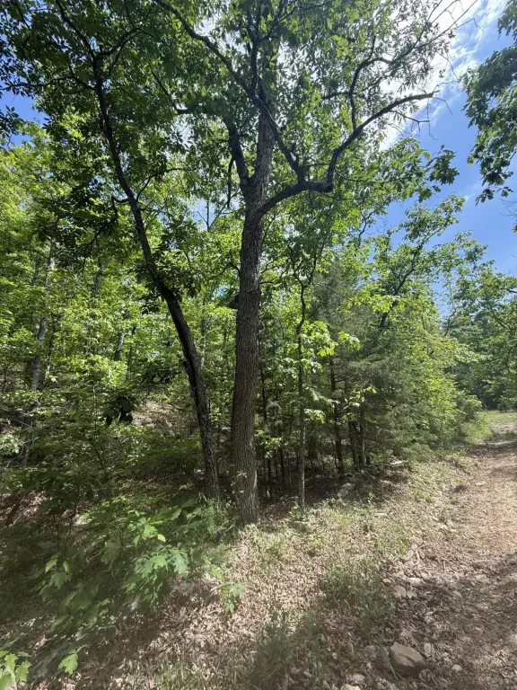 Picture 20