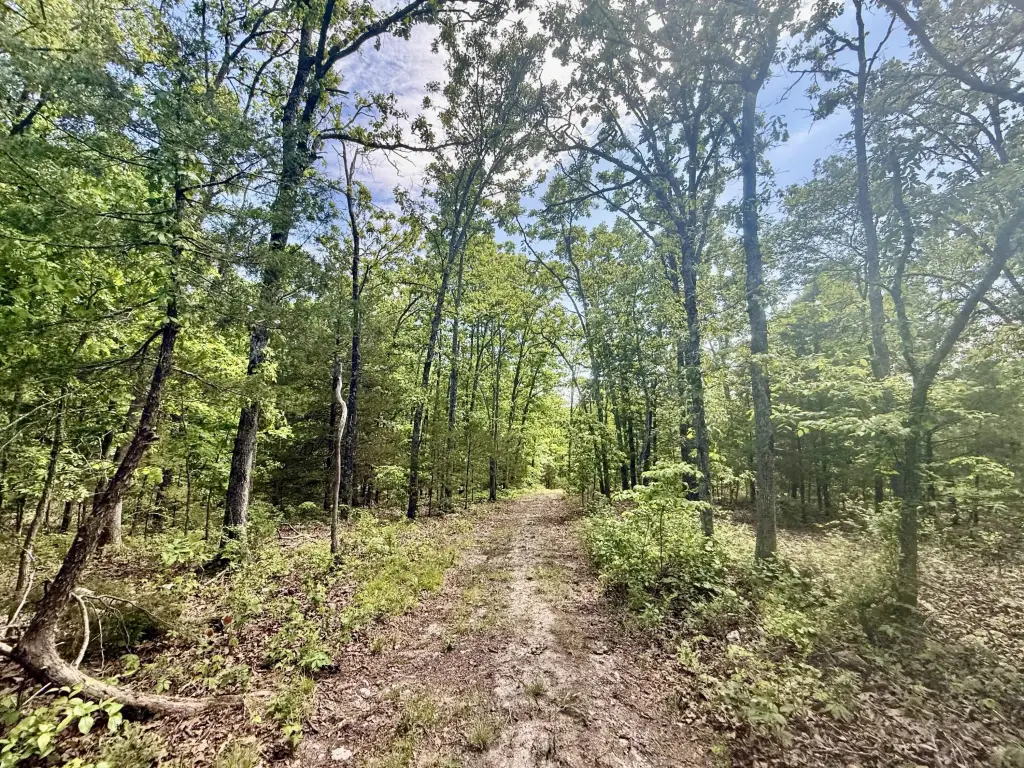 Picture 21