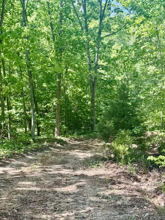 Picture 25