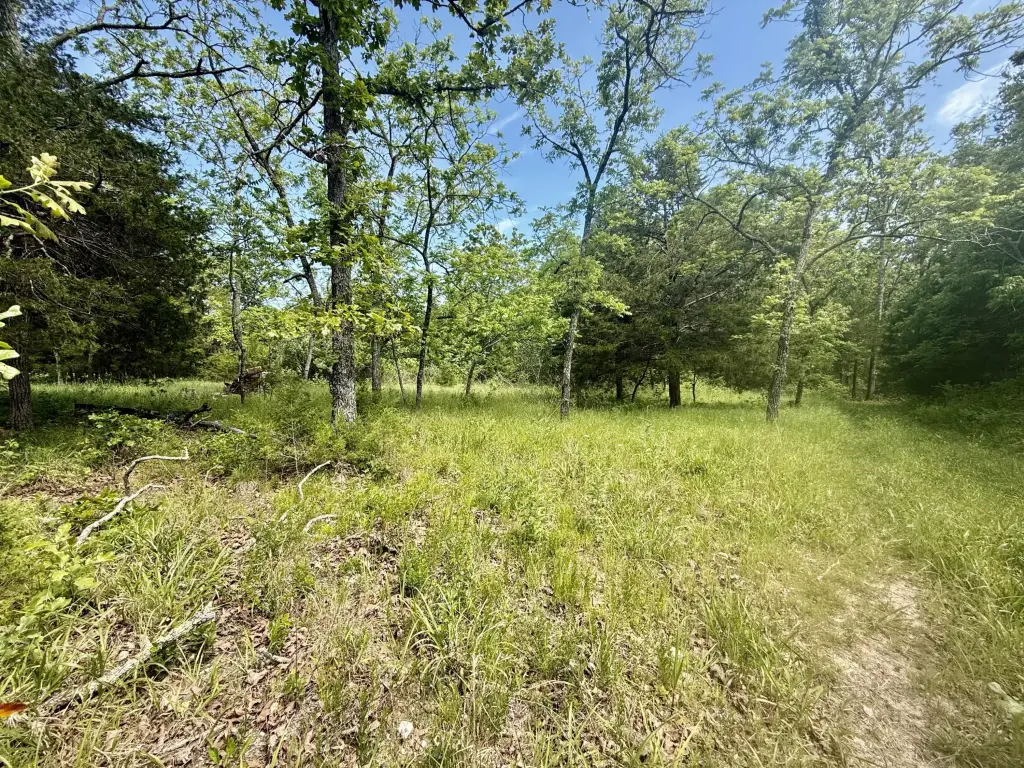 Picture 33