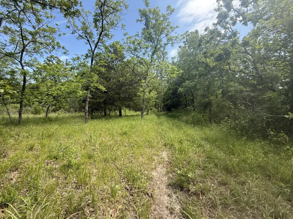 Picture 30