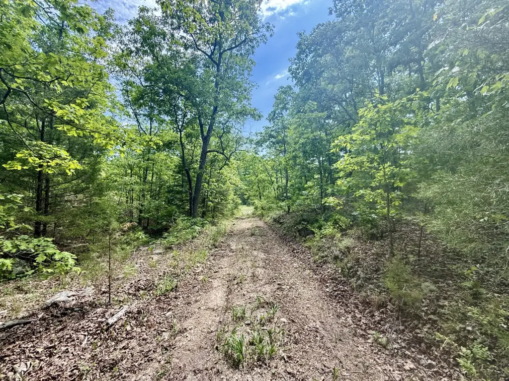 Picture 23