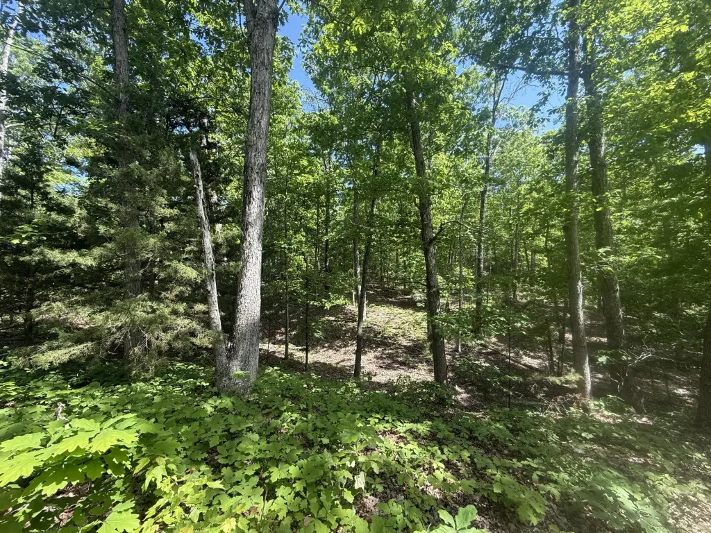 Picture 29