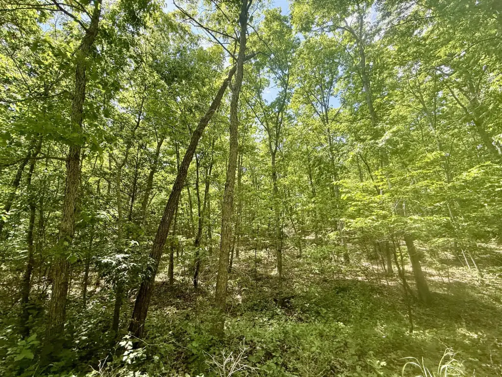 Picture 14