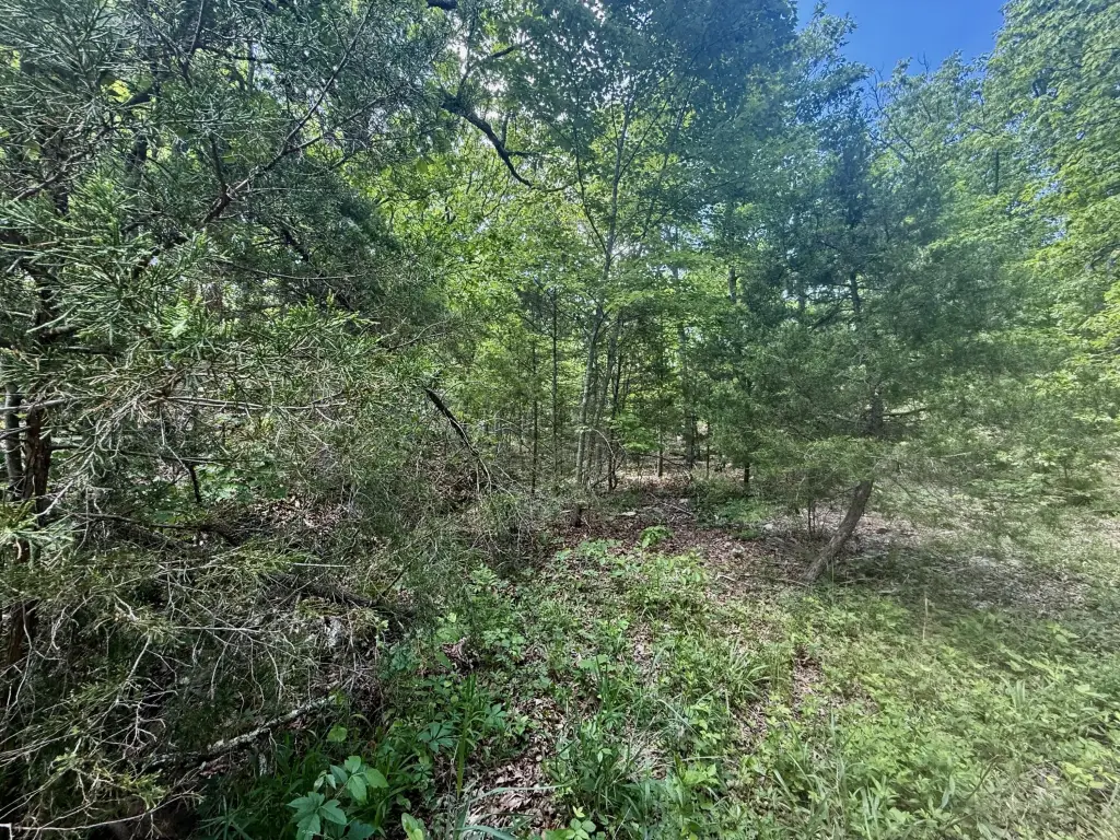 Picture 18