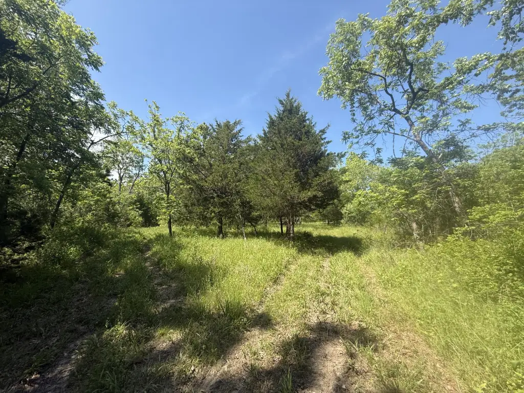 Picture 28