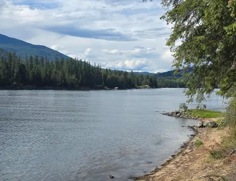 Waterfront Land with River Access