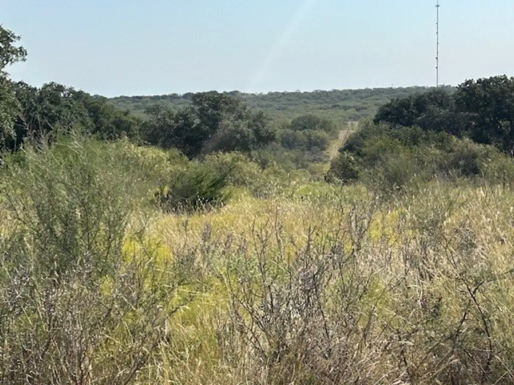Picture 19